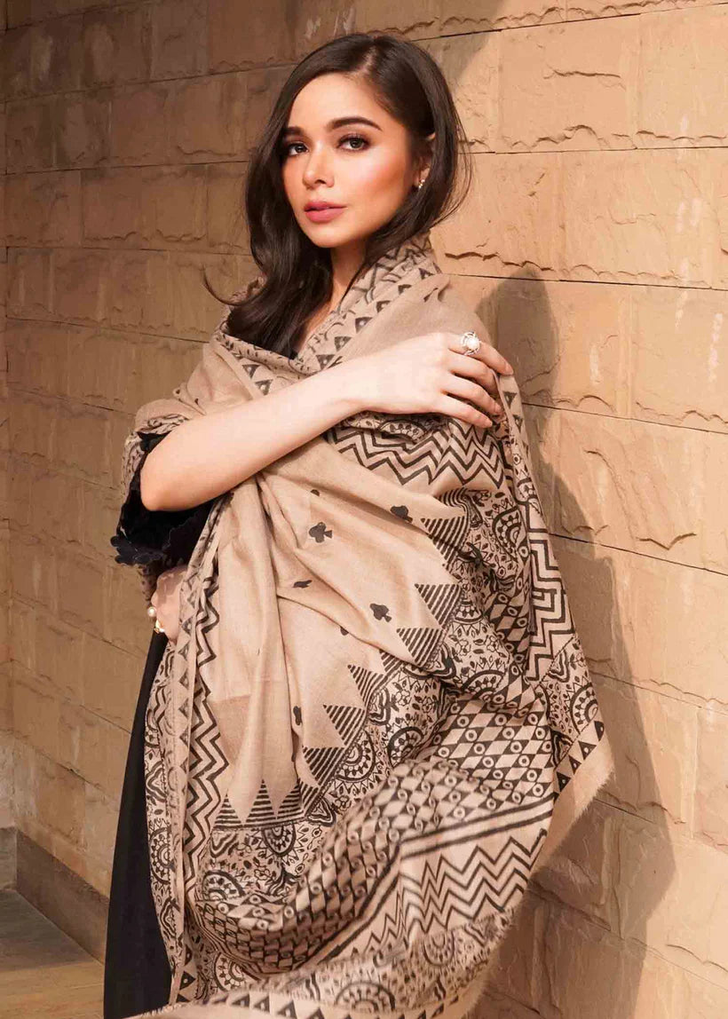 RT1026-3PC Dhannak Winter Embroidered suit with Printed Shawll