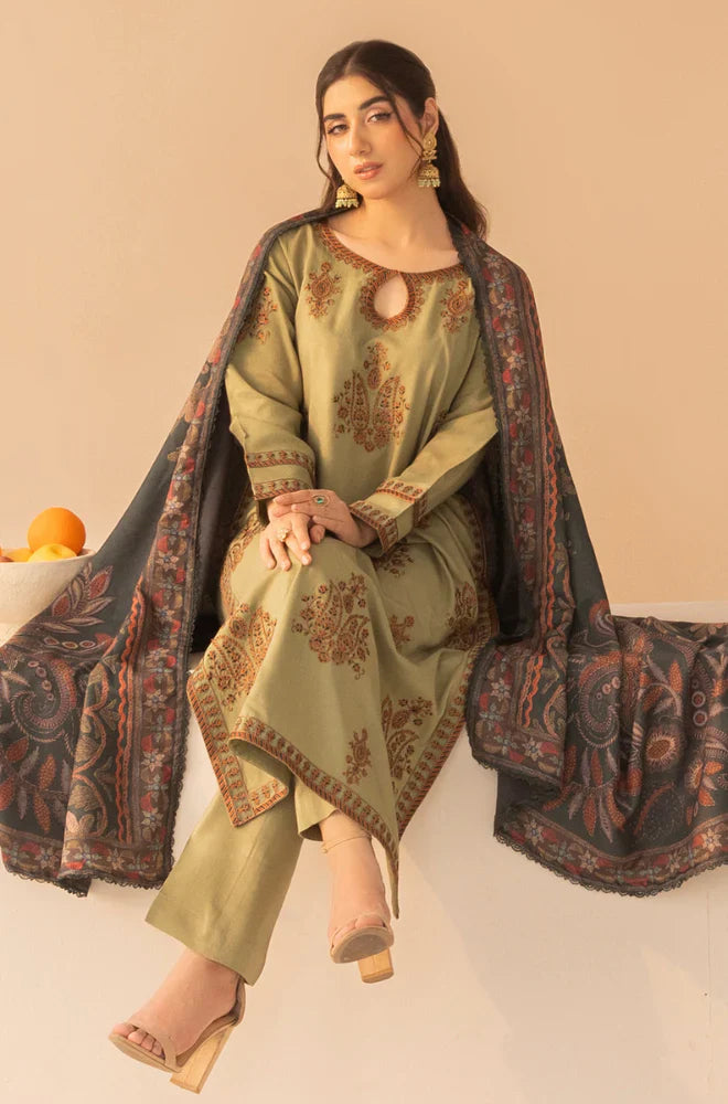 RT1227-Mohagni - Winter 3PC Dhanak Embroidered Suit