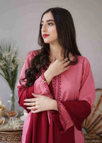 WINTER 3PC Dhanak suit with Embroidered Shawll-RT555